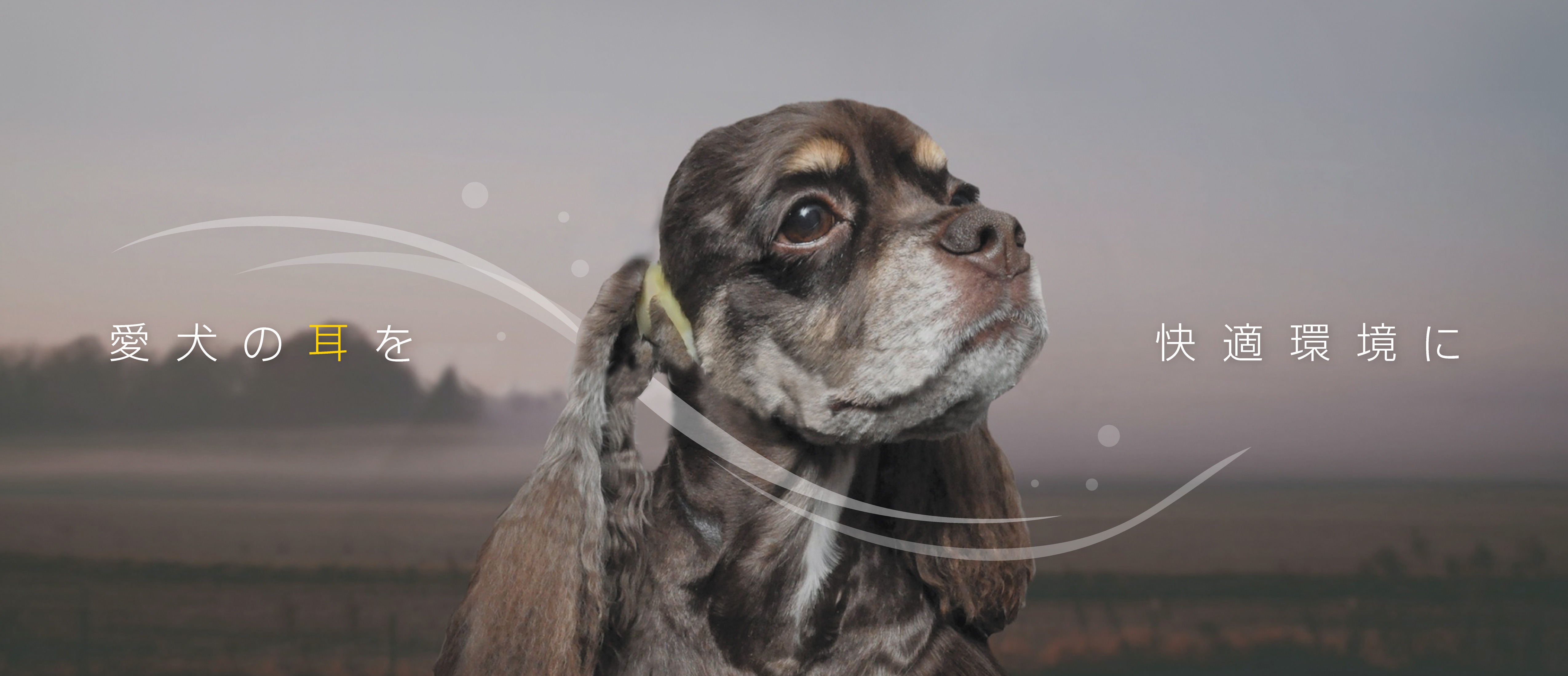 Dog Ear Lifter™は愛犬の耳を快適環境へ